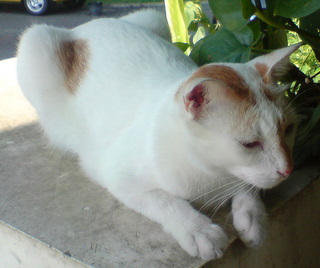 100812 Kakak Piang.jpg